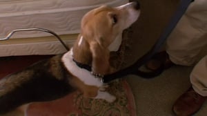 Rat Busters NYC, Season 1 Episode 6 image