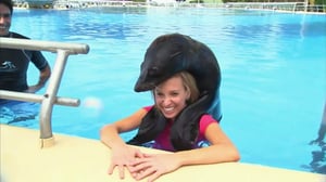 Bondi Vet, Season 4 Episode 7 image