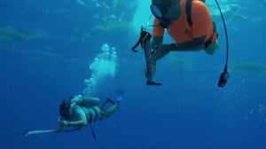 A Moveable Feast with Fine Cooking, Season 6 Episode 13 image