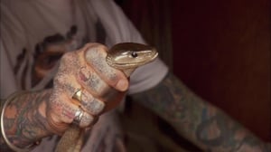 Snake City, Season 2 Episode 1 image