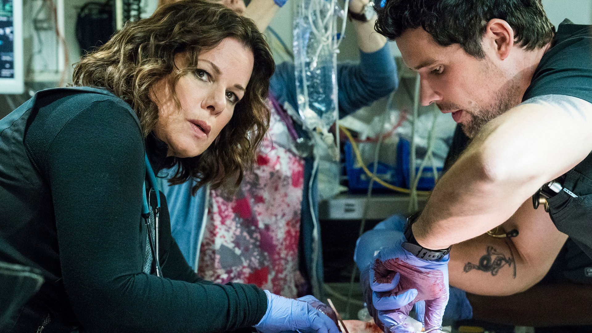 Marcia Gay Harden, Code Black