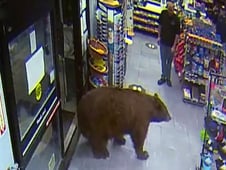 Customer Wars, Season 1 Episode 3 image