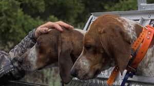 Mountain Men, Season 9 Episode 15 image