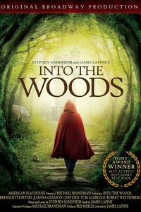 Into the Woods as The Witch