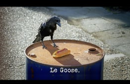 Taskmaster, Season 18 Episode 10 image