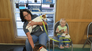 The Incredible Dr. Pol, Season 8 Episode 9 image