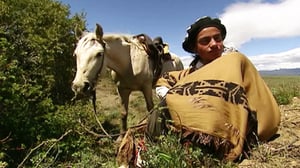 The Amazing Race, Season 16 Episode 3 image