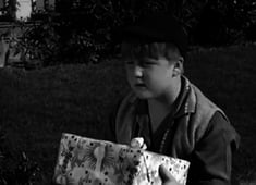 Leave It to Beaver, Season 2 Episode 14 image