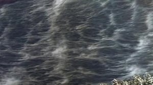 Jurassic Fight Club, Season 1 Episode 10 image