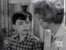 Leave It to Beaver, Season 3 Episode 4 image