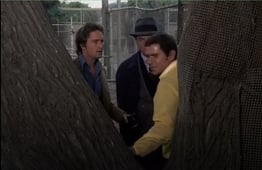 The Streets of San Francisco, Season 2 Episode 11 image