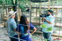 The Daytripper, Season 8 Episode 4 image