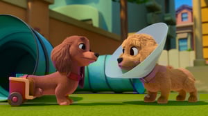 Pretzel and the Puppies, Season 1 Episode 4 image