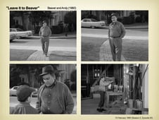 Leave It to Beaver, Season 3 Episode 20 image