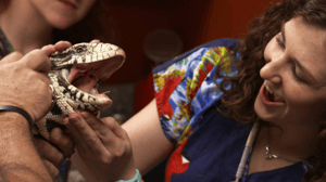 Dr K's Exotic Animal ER, Season 3 Episode 5 image