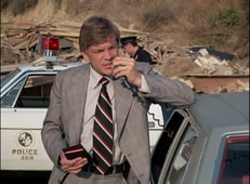 The Rockford Files, Season 2 Episode 7 image