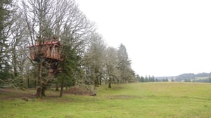 The Treehouse Guys, Season 1 Episode 3 image