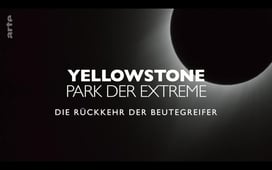 Epic Yellowstone, Season 1 Episode 2 image