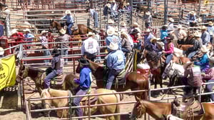 Little Britches Rodeo, Season 4 Episode 10 image