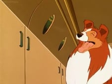 Lassie's Rescue Rangers, Season 1 Episode 9 image