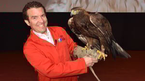 The Rick Mercer Report, Season 13 Episode 18 image