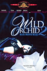 Wild Orchid 2: Two Shades of Blue as Senator Dixon