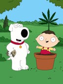 Family Guy, Season 7 Episode 12 image