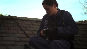 CSI: Crime Scene Investigation, Season 6 Episode 16 image