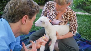 Bondi Vet, Season 2 Episode 13 image