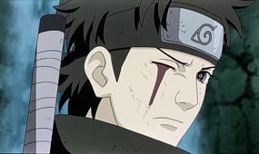 Naruto: Shippuden, Season 1 Episode 358 image