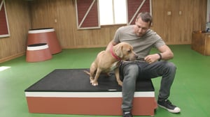 Lucky Dog, Season 6 Episode 10 image