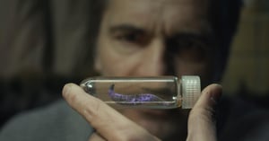 Spides, Season 1 Episode 6 image