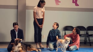 Puppy Place, Season 1 Episode 3 image