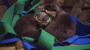 The Aquarium, Season 1 Episode 4 image