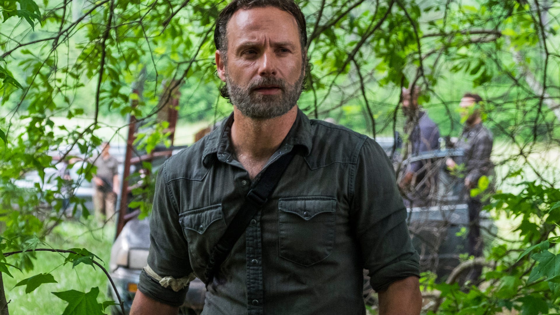 Andrew Lincoln, The Walking Dead
