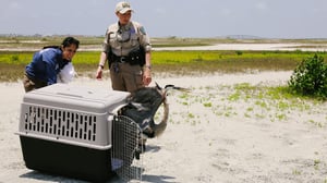 Lone Star Law, Season 7 Episode 1 image