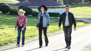 NCIS, Season 21 Episode 9 image