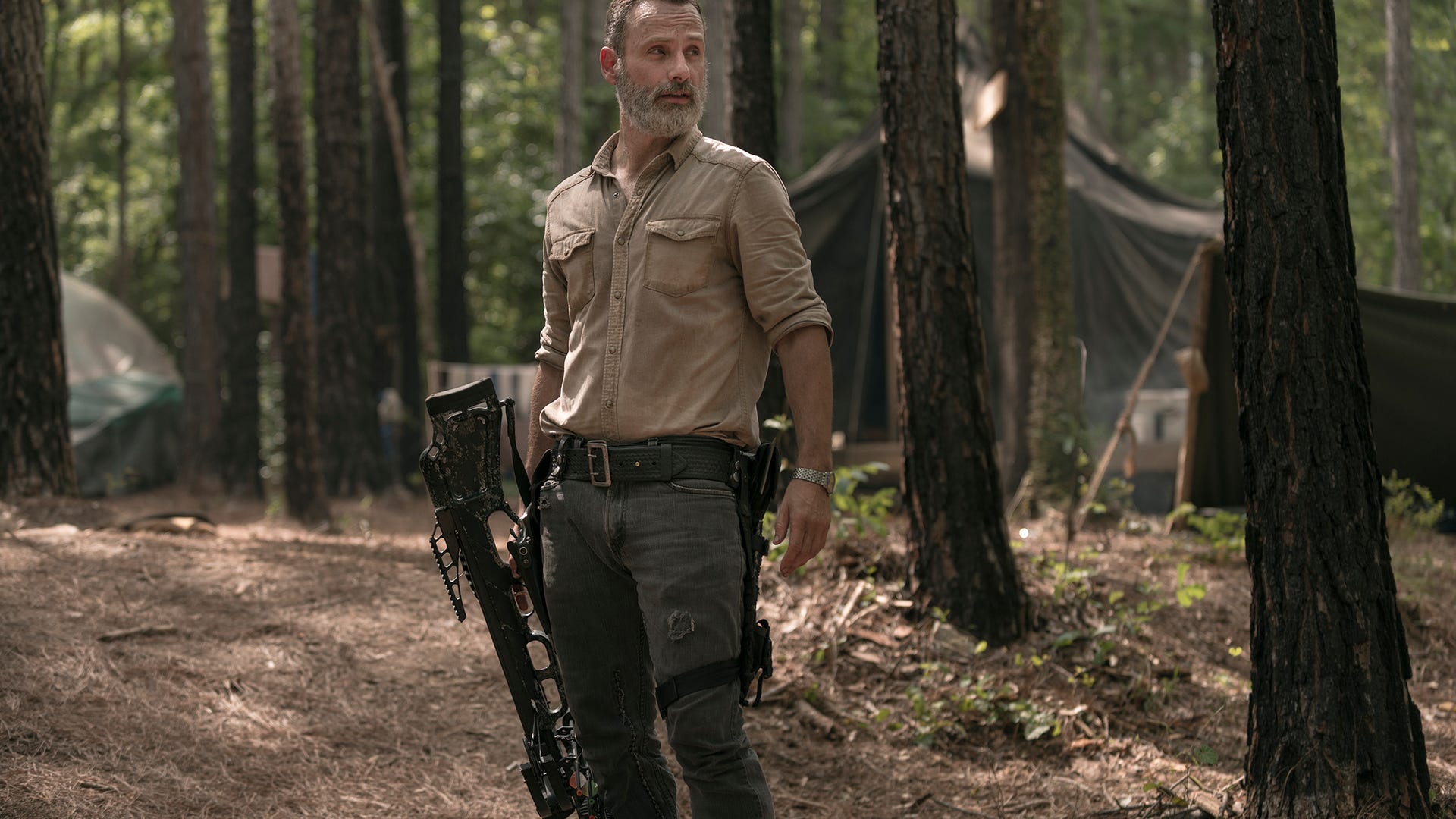 ​Andrew Lincoln, The Walking Dead