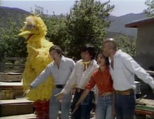 Sesame Street, Season 7 Episode 20 image
