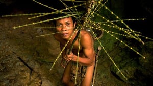 Wonders of the Monsoon, Season 1 Episode 5 image