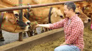 Naturally, Danny Seo, Season 3 Episode 11 image