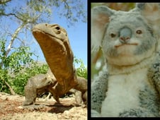 Nature, Season 38 Episode 17 image