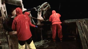 Deadliest Catch, Season 9 Episode 10 image