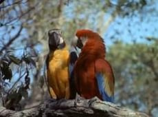 Flipper, Season 3 Episode 2 image