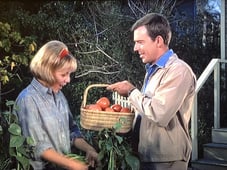 Mayberry R.F.D., Season 1 Episode 20 image