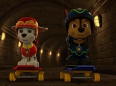 PAW Patrol, Season 7 Episode 14 image