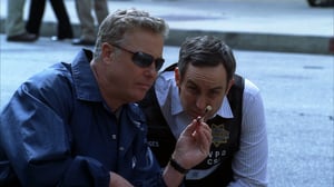 CSI: Crime Scene Investigation, Season 7 Episode 19 image