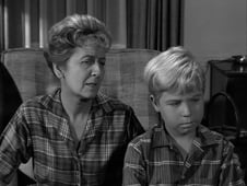 My Three Sons, Season 1 Episode 16 image