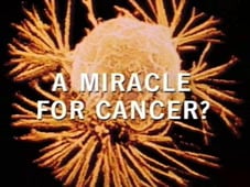 Horizon, Season 32 Episode 10 image