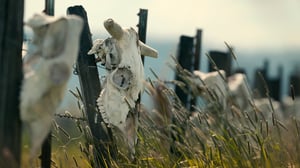 Unsolved Mysteries, Season 5 Episode 3 image